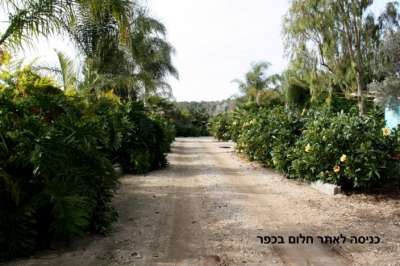 חלום בכפר